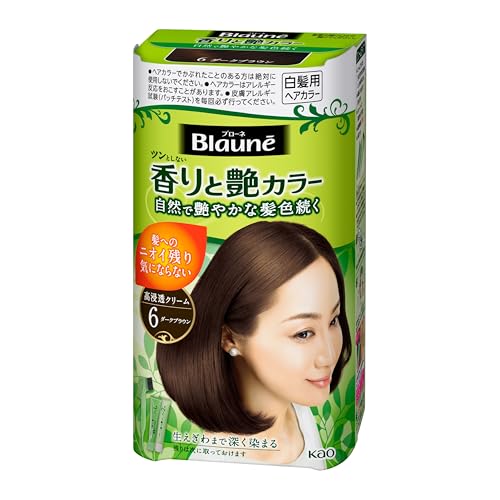 花王 ブローネ らく塗り艶カラー (6 ダークブラウン) 1剤の口コミ（0件
