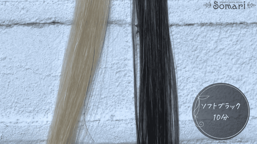 ブラトリソフトブラックの染毛効果検証