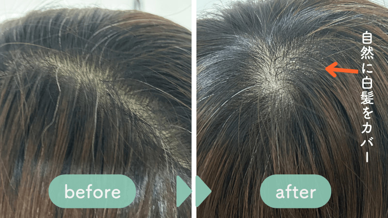 リシリアフレルの染毛効果検証のビフォーアフター