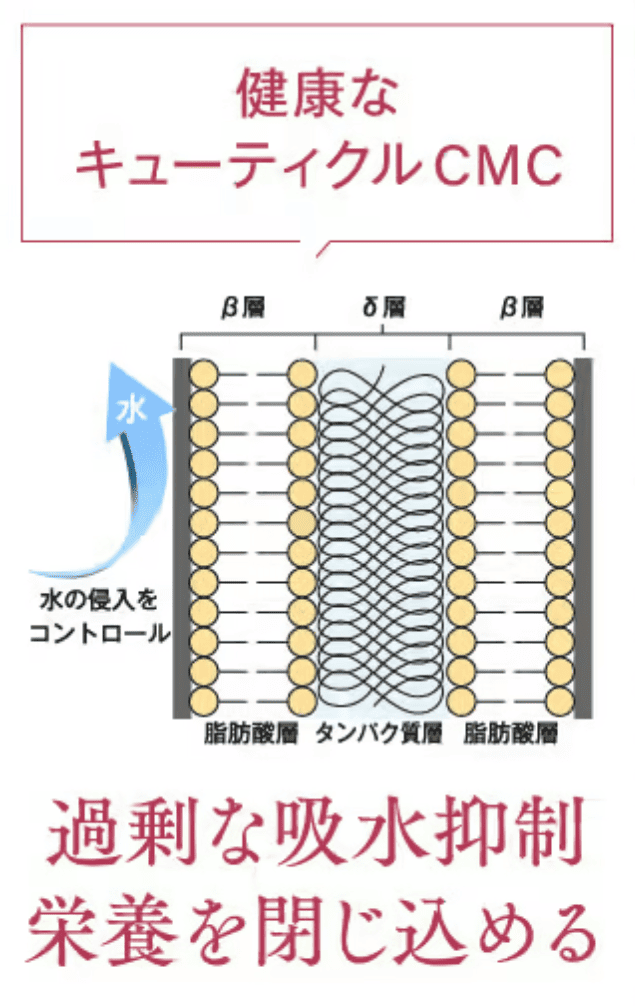 モアブルームカラーシャンプは髪に栄養を閉じ込める