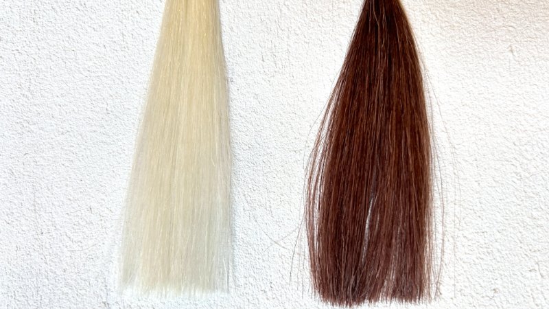 ボタニカルカラークリームシャンプーダークブラウンの染毛効果