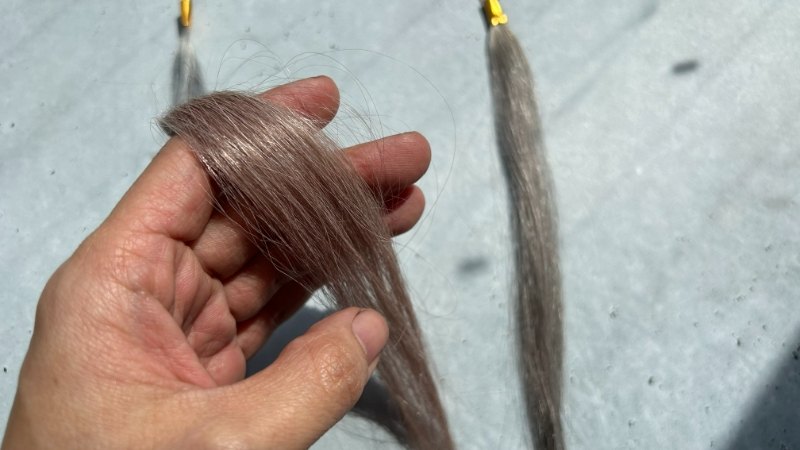 リシリアフレルカラーシャンプーの染毛効果検証