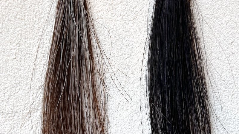 ヘアリシェブラックの染毛効果検証