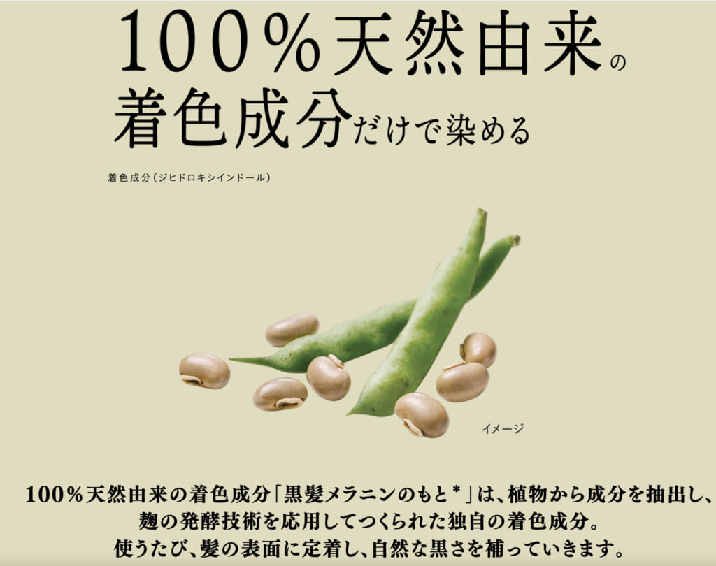 花王ブローネリライズ白髪用髪色サーバーは100%天然由来着色成分