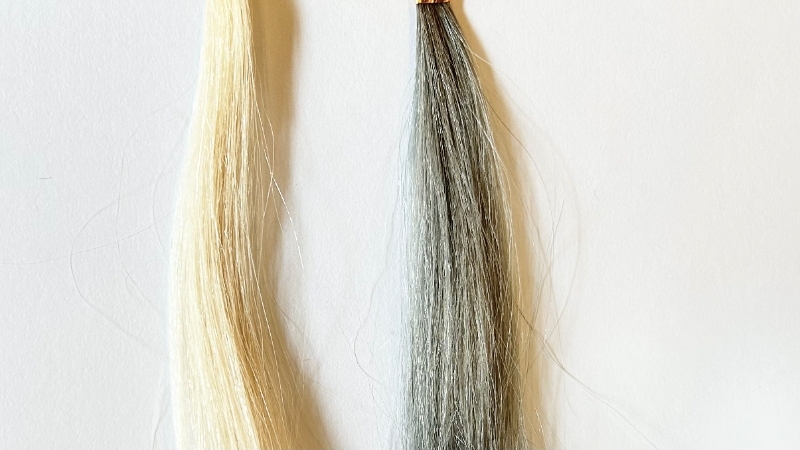 サロンドプロナチュラルグレイッシュリンスインシャンプーの毛束比較画像