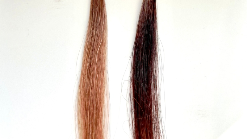 バランローズクロの毛束比較画像