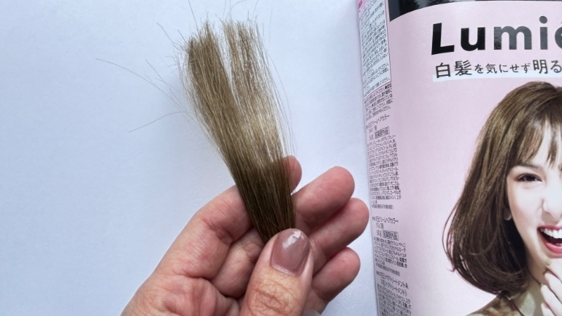 ブローネルミエストの染毛効果検証
