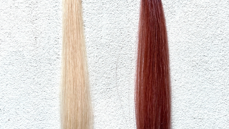 クレオディーテクリアリーカラーペールピンクの染毛効果を検証した毛束