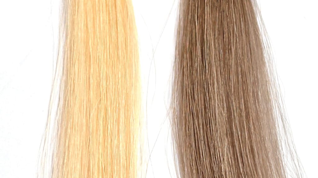 綺和美白髪染めカラーシャンプーの染毛効果検証