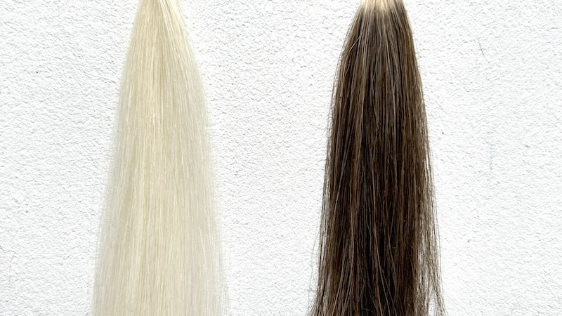 サロンドプロ泡のヘアカラー・エクストラリッチの毛束比較画像