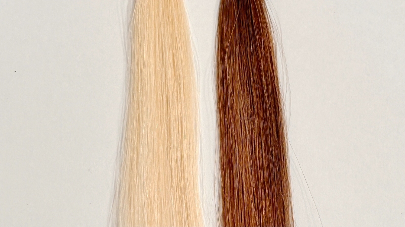 クレイエンスクレイスパクイックカラーを毛束で染毛効果検証