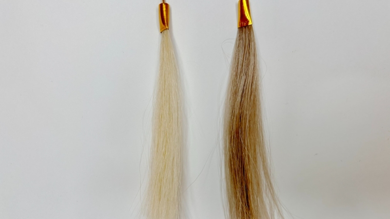 コラージワンオールインカラーシャンプーダークブラウンの染毛効果を検証した毛束