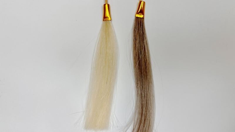 コラージワンオールインカラーシャンプーの染毛効果を検証2回目