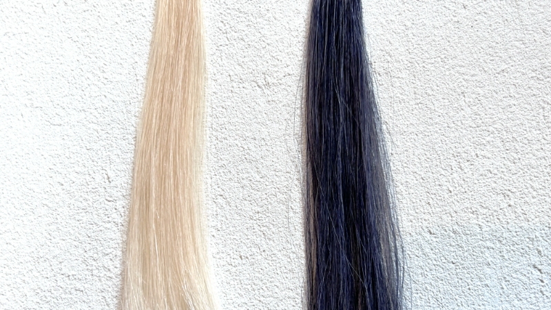 ヘアボーテエクラ ボタニカル エアカラーフォームexを毛束で染毛効果検証