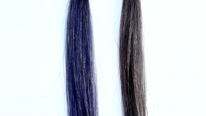 ヘアリシェナチュラルエアリーカラーを毛束で染毛効果検証