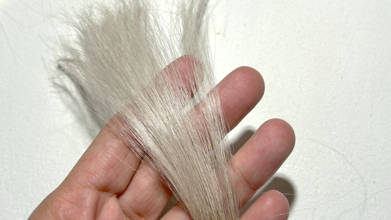 Jjimjil（ジムジル）カラーシャンプーの染毛効果を検証した毛束