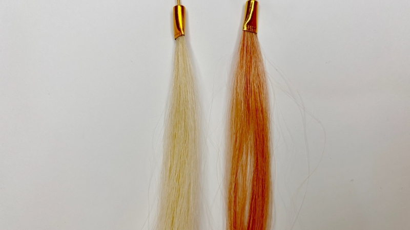 サロンドプロカラーシャンプーの毛束比較画像