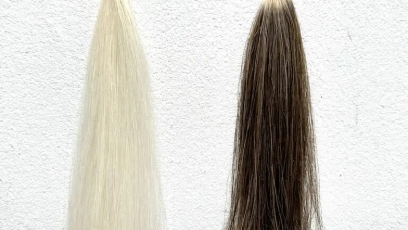 サロンドプロ泡のヘアカラー・エクストラリッチアッシュブラウンの染毛効果検証