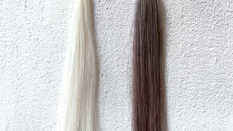 シュワルツコフgot2bボンディングメタリックスヘアカラーキャラメルブロンドの染毛効果を検証した毛束