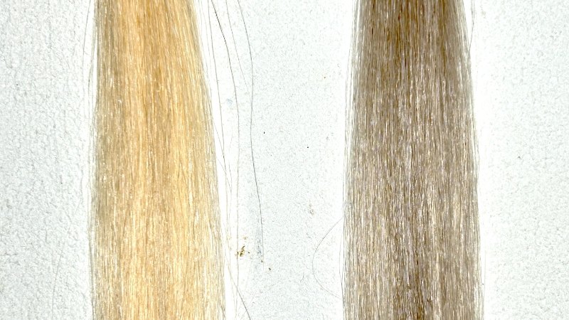 Jjimjil（ジムジル）カラーシャンプーの染毛効果検証