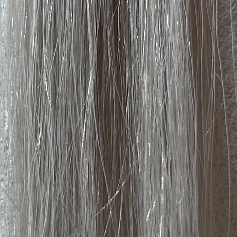 Kyogokuカラーシャンプー（アッシュグレイ）を毛束で染毛効果検証1回目