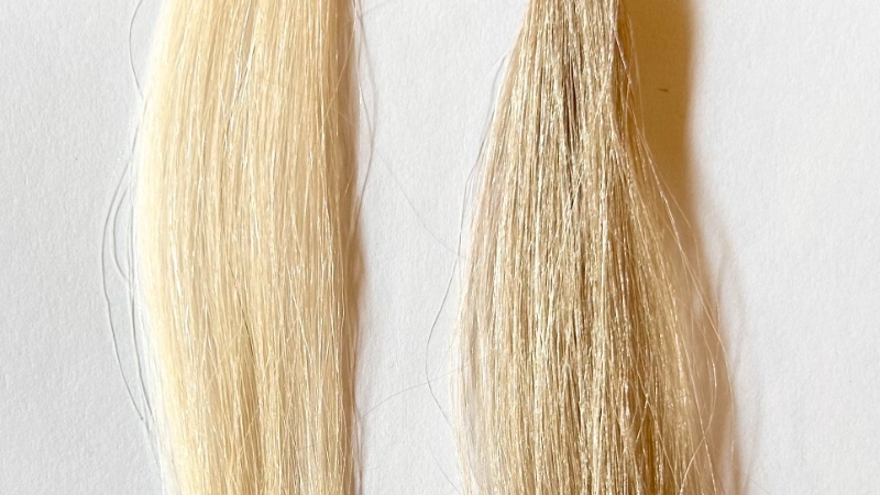 エブリヘアカラーパンテラレオベージュの染毛効果を検証した毛束
