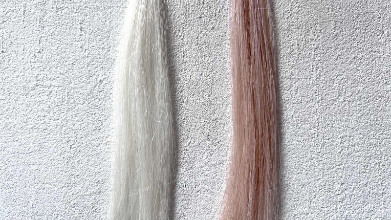 フレッシュライト泡タイプカラークリームシフォンの染毛効果を検証した毛束
