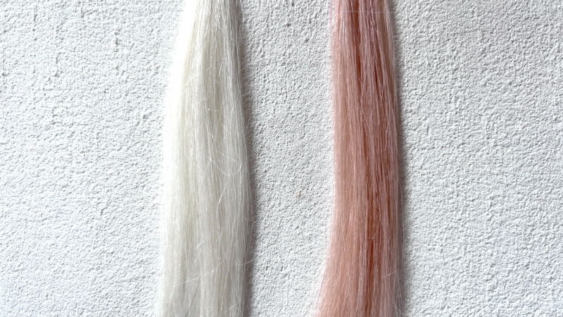 フレッシュライト泡タイプカラー クリームシフォンを毛束で染毛効果検証