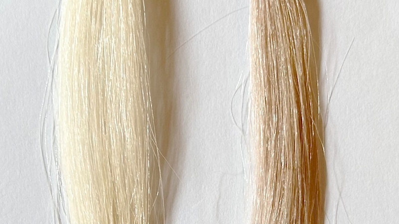 フレッシュライトミルキータイププレミアムベージュの染毛効果を検証した毛束