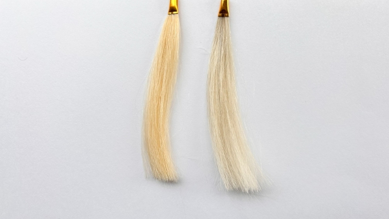 ホーユーソマルカ カラーシャンプー パープルを毛束で染毛効果検証
