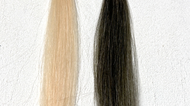 KAMIKA（カミカ）白髪染めカラートリートメントの染毛効果を検証した毛束