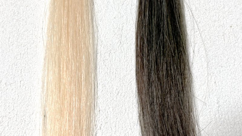 KAMIKA（カミカ）白髪染めカラートリートメントの染毛効果を検証した毛束（10分）