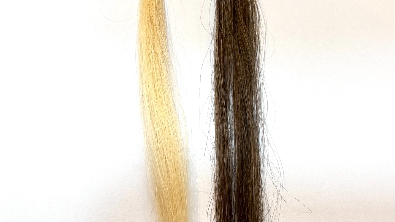 クローシアリッチクリームシャンプーの染毛効果を検証した毛束
