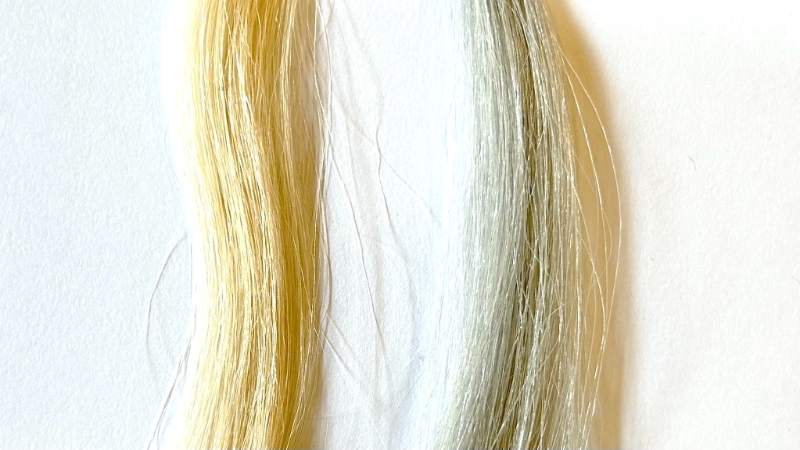 Kyogokuカラーシャンプーを毛束で染毛効果検証