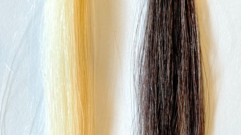 LUCIDO(ルシード) ワンプッシュケアカラーの毛束比較画像