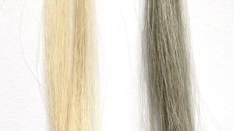 LUCIDOL（ルシードエル）ミルクジャムヘアカラーヘーゼルナッツの染毛効果を検証した毛束