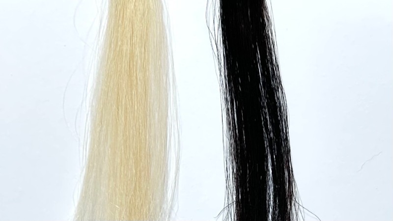 ホーユーメンズビゲンワンプッシュを毛束で染毛効果検証