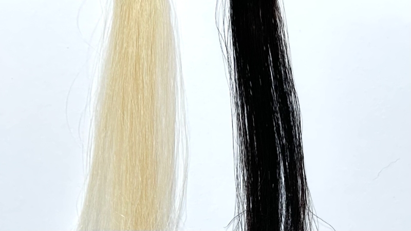 ホーユーメンズビゲンワンプッシュの毛束比較画像