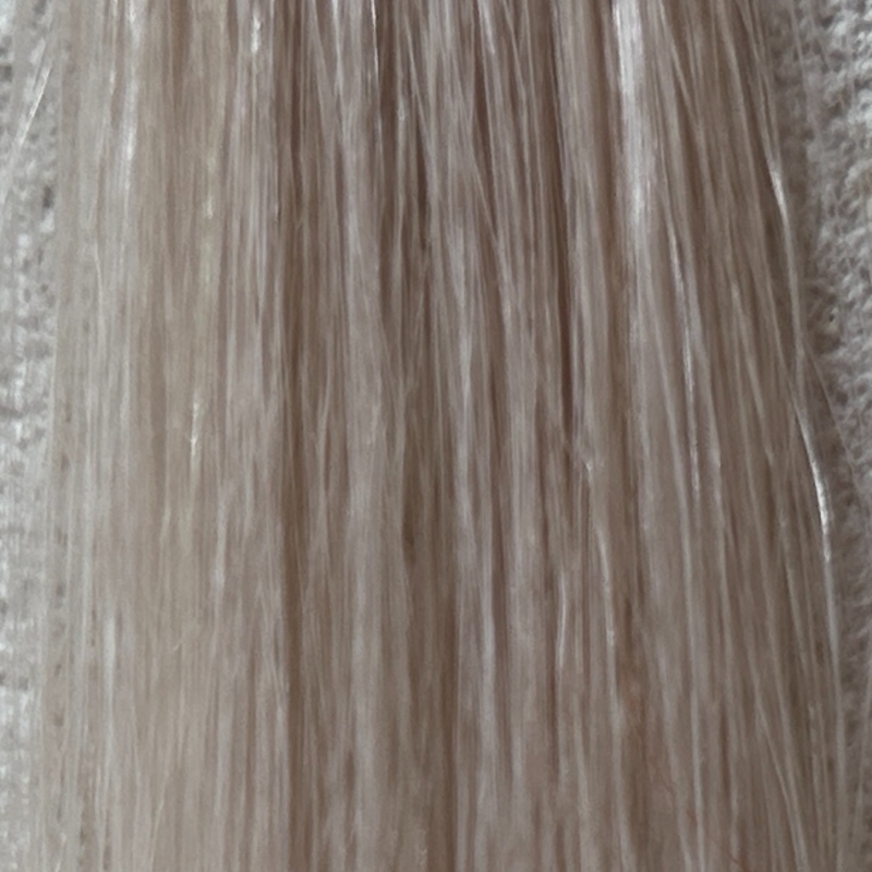 N.カラーシャンプー(パープル)を毛束で染毛効果検証1回目