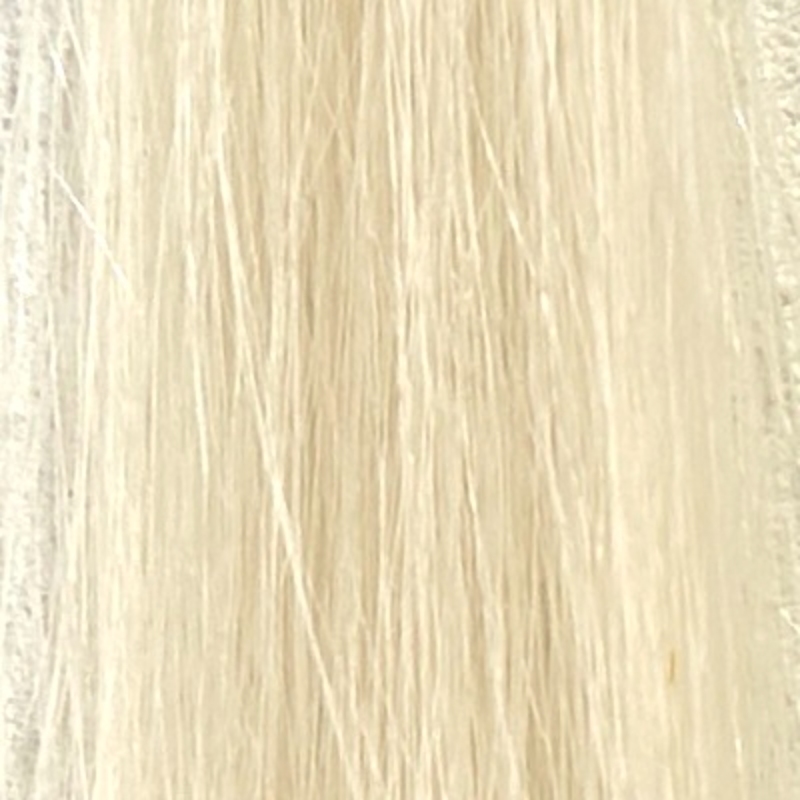 N.カラーシャンプー(パープル)を毛束で染毛効果検証前