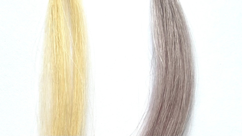 フィオーレ クオルシア カラーシャンプーを毛束で染毛効果検証
