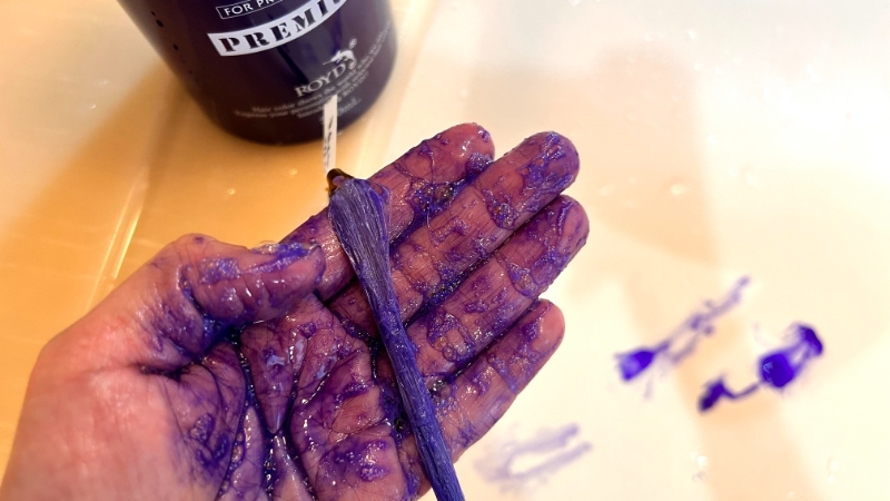 ロイドプレミアムカラーシャンプー紫を毛束で染毛効果検証