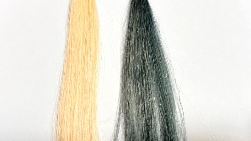 サロンドプロメンズカラーシャンプーを毛束で染毛効果検証