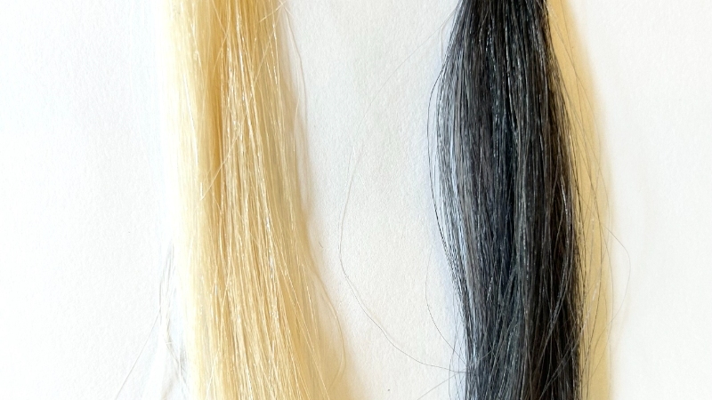 サロンドプロワンプッシュメンズカラー（白髪用）を毛束で染毛効果検証