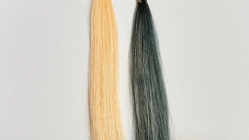 サロンドプロメンズカラースカルプシャンプーの毛束比較画像
