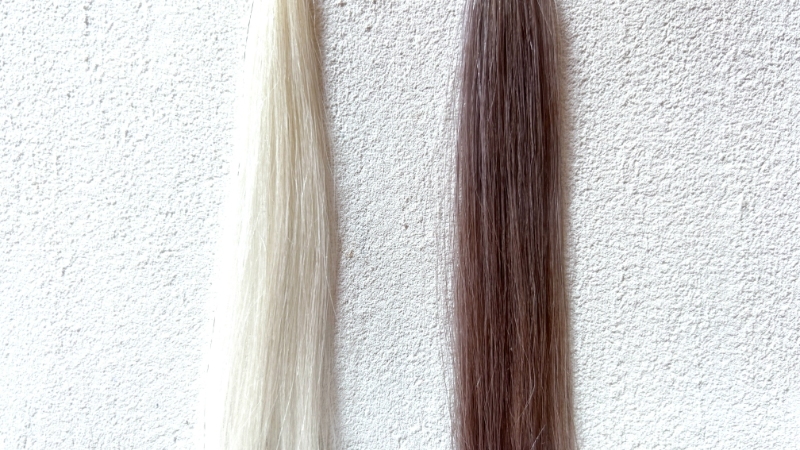 シュワルツコフ got2b ボンディング メタリックスヘアカラー キャラメルブロンドを毛束で染毛効果検証