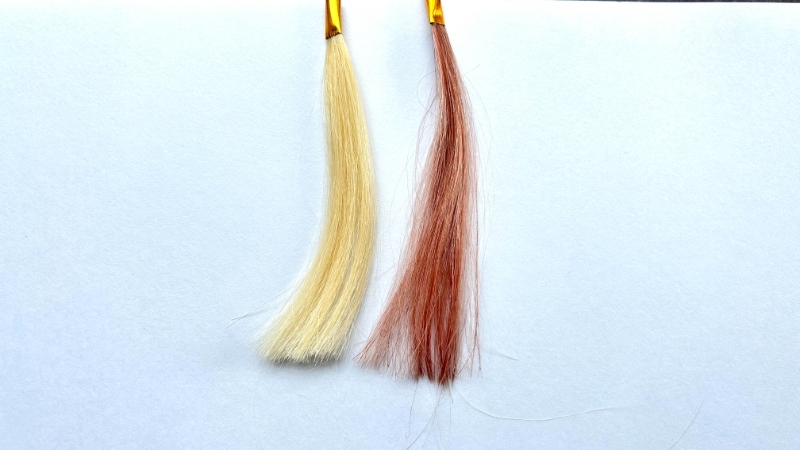 テンスターヘナ カラーシャンプーブラウンを毛束で染毛効果検証