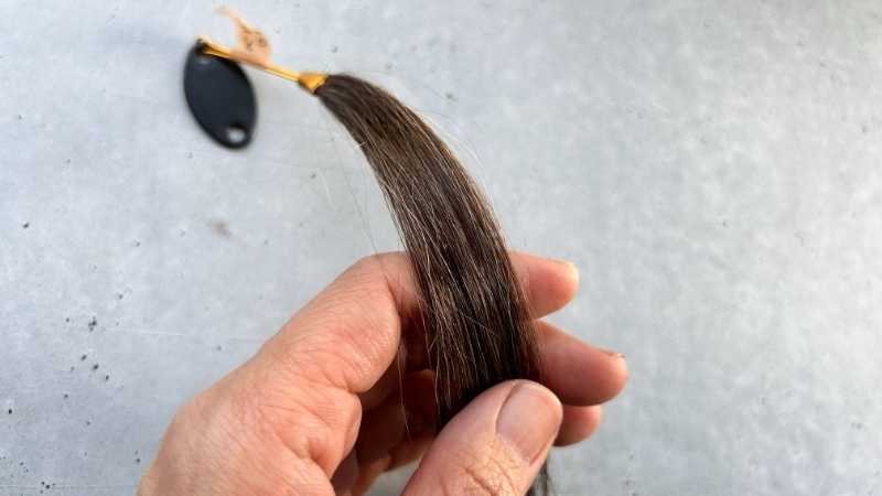 ベルタ白髪染めヘアカラートリートメントダークブラウンの染毛力検証