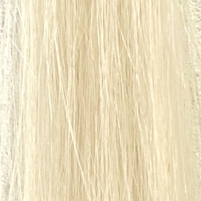 白髪の毛束