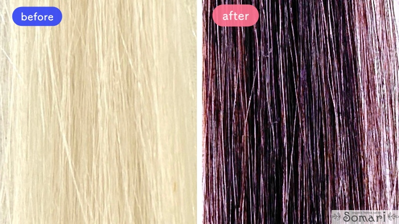 KAMIKA（カミカ）白髪染めカラートリートメントの染毛効果検証
